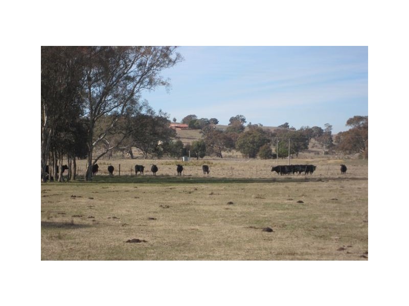 . Kaveneys Road, Hall ACT 2618