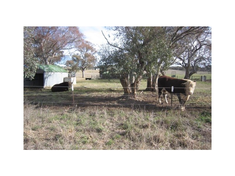 . Kaveneys Road, Hall ACT 2618