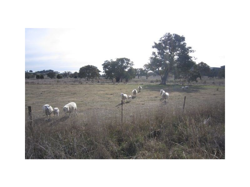 . Kaveneys Road, Hall ACT 2618