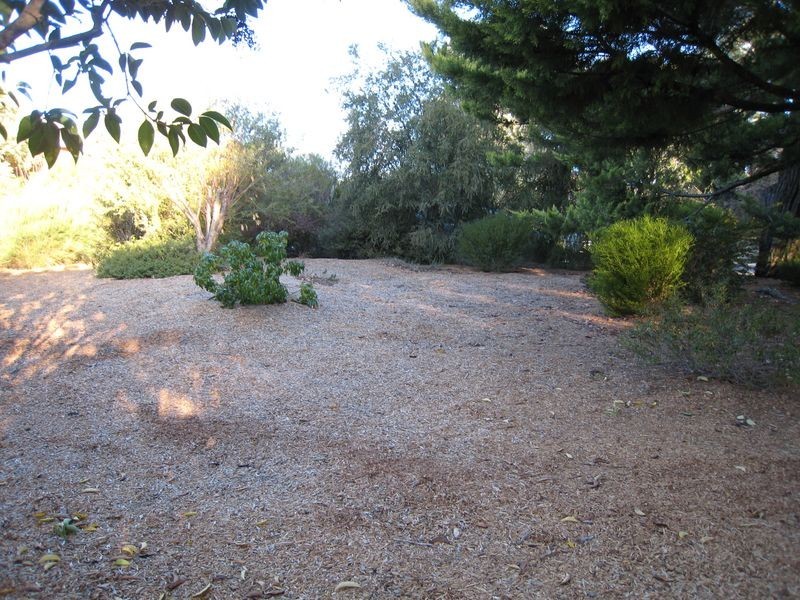 3 Dwyer Street, Cook ACT 2614