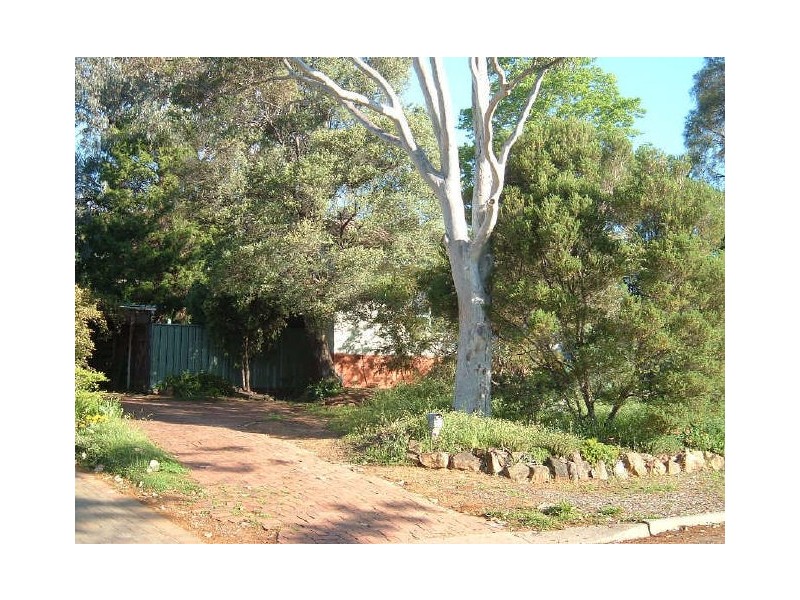 97 Irvine Street, Watson ACT 2602