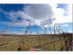 Lot 3 Block 12 Section 2 Beltana Road, Pialligo ACT 2609