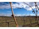 Lot 3 Block 12 Section 2 Beltana Road, Pialligo ACT 2609