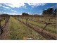 Lot 3 Block 12 Section 2 Beltana Road, Pialligo ACT 2609