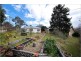 22 Raymond Street, Ainslie ACT 2602
