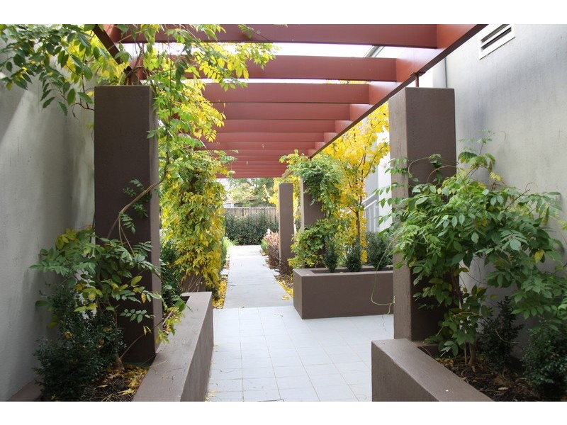 11/13 Majura Avenue, Dickson ACT 2602