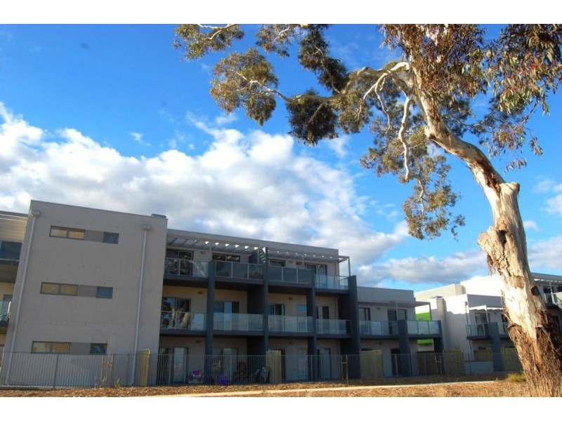 8/75 Elizabeth Jolly Crescent, Franklin ACT 2913