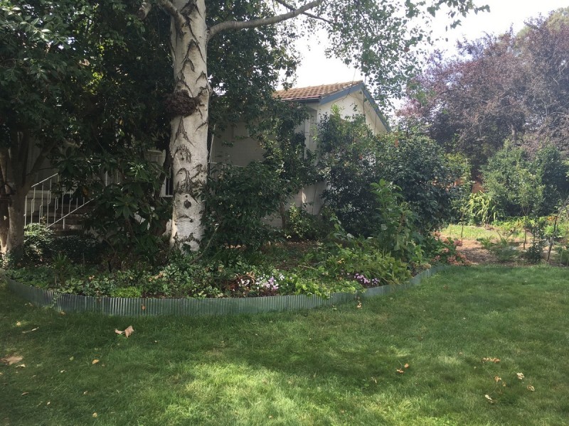 102 Irvine Street, Watson ACT 2602