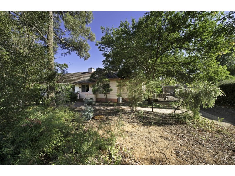 37 Tyson Street, Ainslie ACT 2602