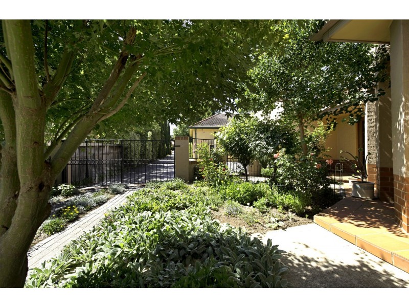 61B Ebden Street, Ainslie ACT 2602