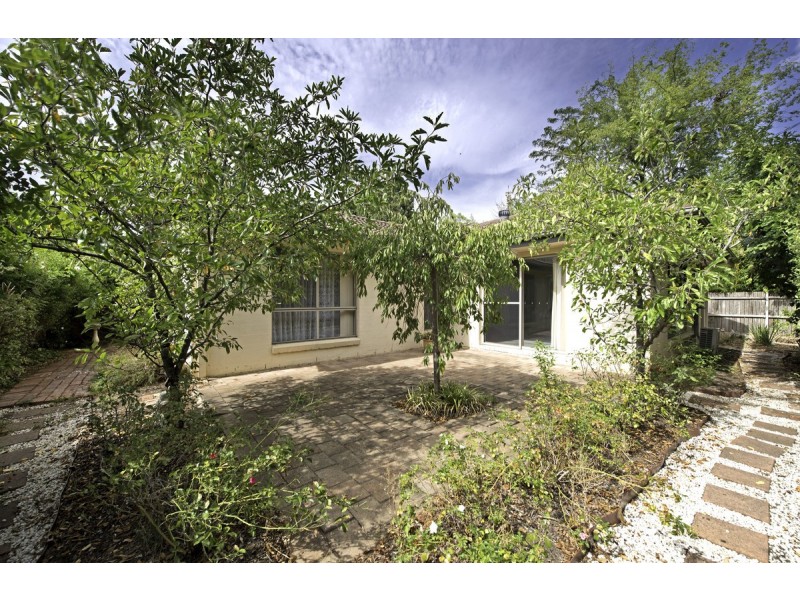28 B Molesworth Street, Watson ACT 2602