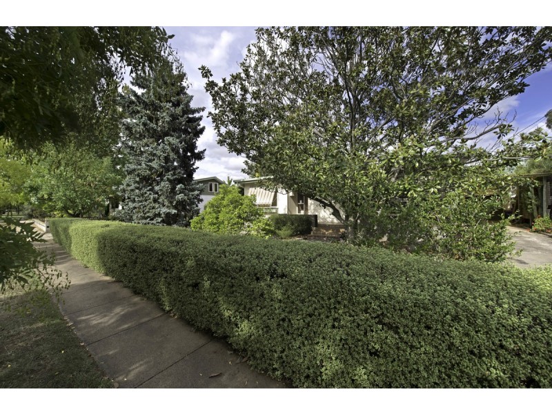 4 McColl Street, Ainslie ACT 2602