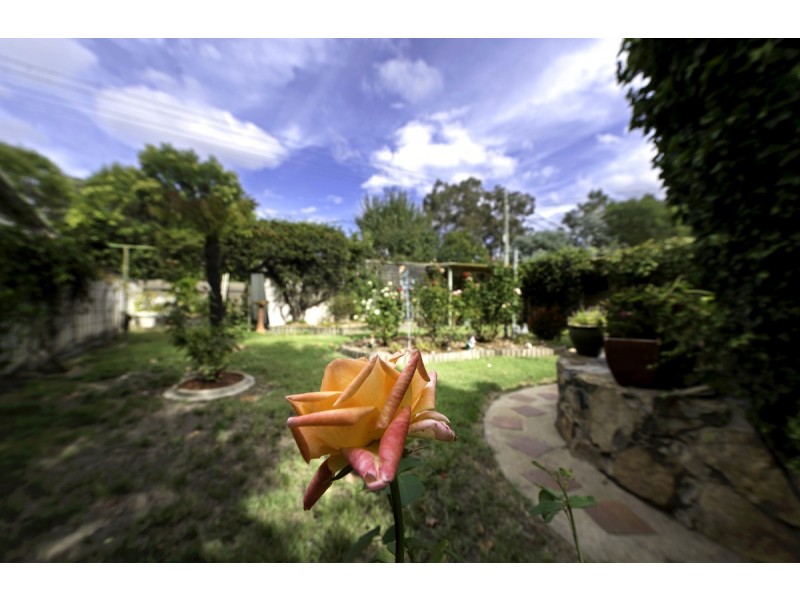 4 McColl Street, Ainslie ACT 2602