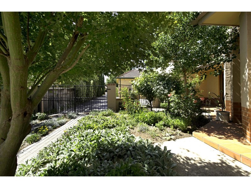 61B Ebden Street, Ainslie ACT 2602