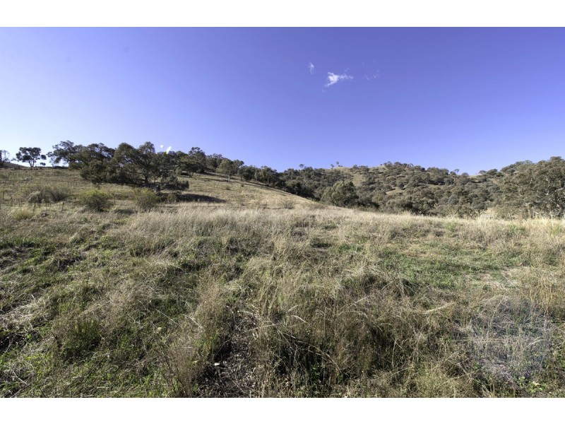 21 Wittunga Crescent, Banks ACT 2906