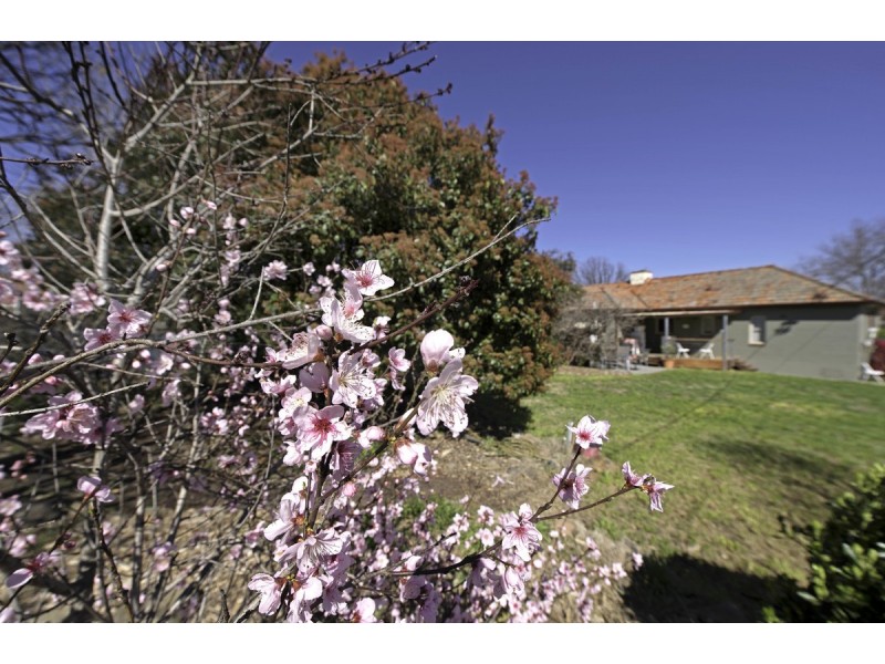 38 O’Connell Street, Ainslie ACT 2602