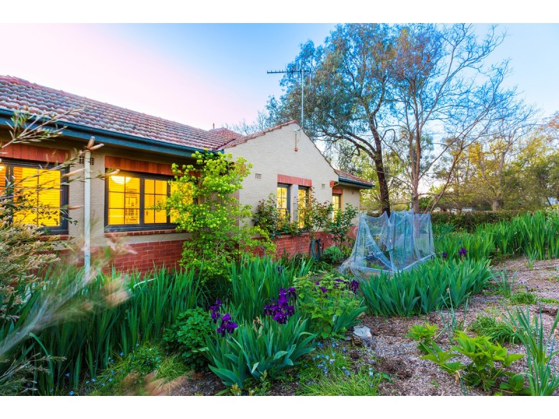 70 Wakefield Avenue, Ainslie ACT 2602