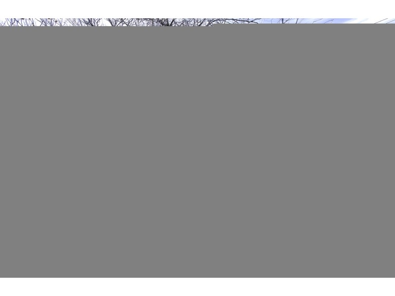 7 Bonney Street, Ainslie ACT 2602