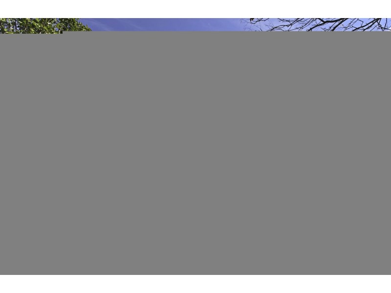 7 Bonney Street, Ainslie ACT 2602