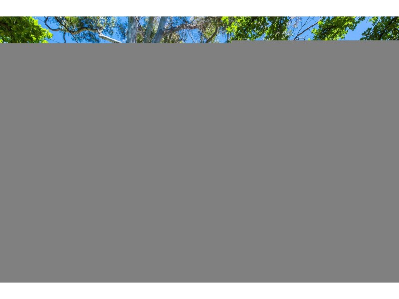 10/25 Forbes Street, Turner ACT 2612