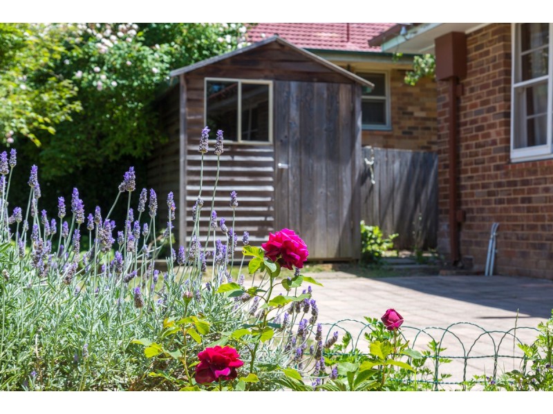 27 Clianthus Street, O’connor ACT 2602