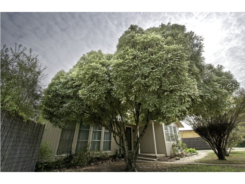 103 Duffy Street, Ainslie ACT 2602