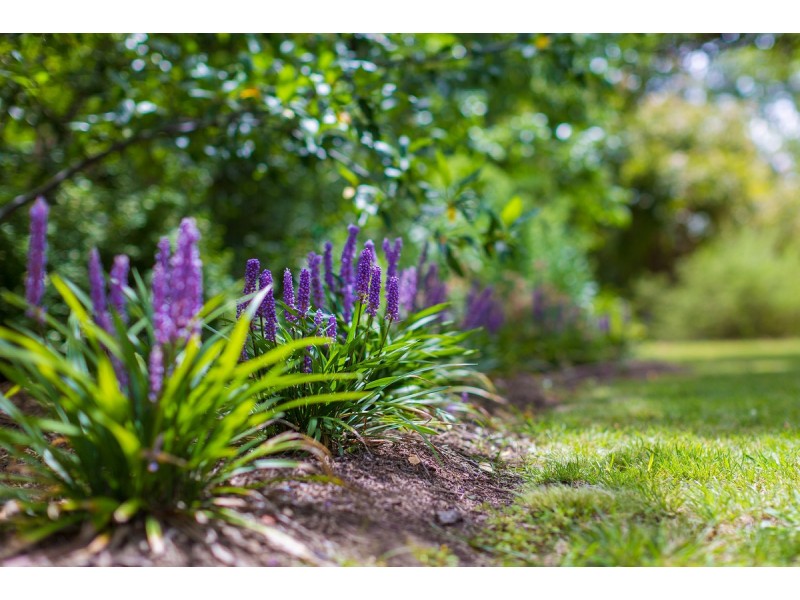 44 Raymond Place, Ainslie ACT 2602