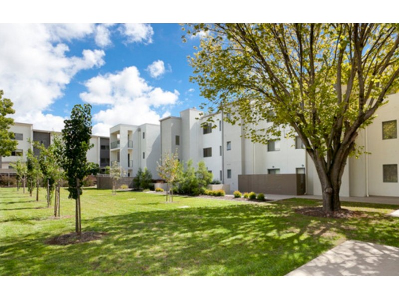 3/3 Towns Crescent, Turner ACT 2612