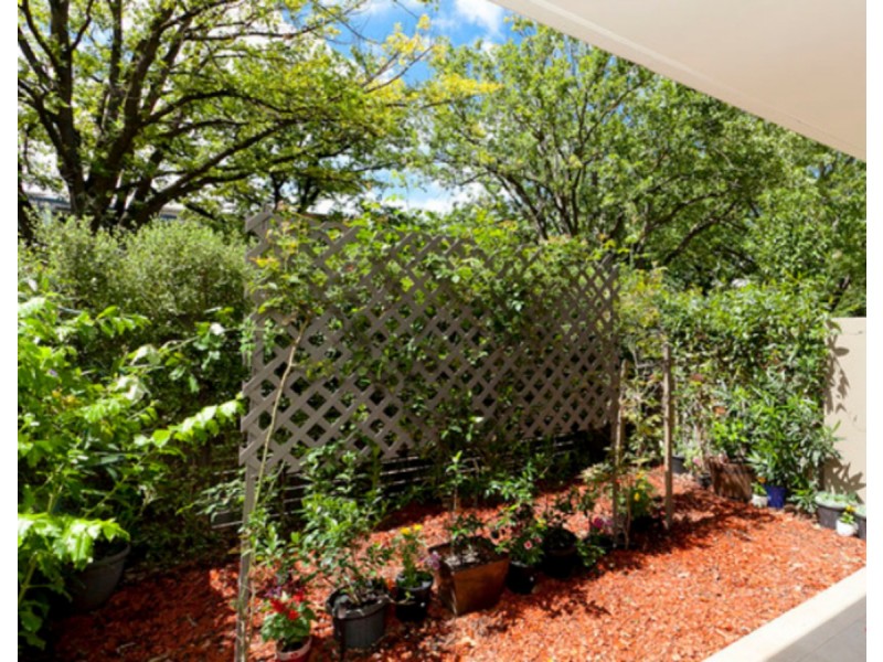 3/3 Towns Crescent, Turner ACT 2612
