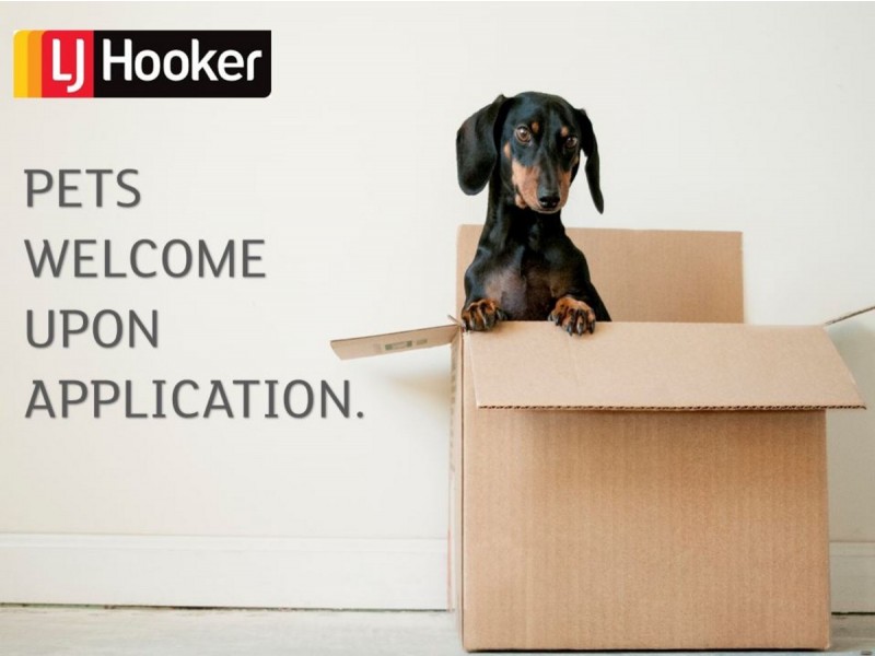 20 Saville Close, Melba ACT 2615