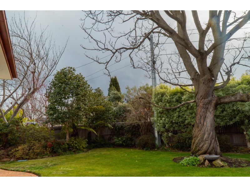 7 Chaffey Crescent, Ainslie ACT 2602