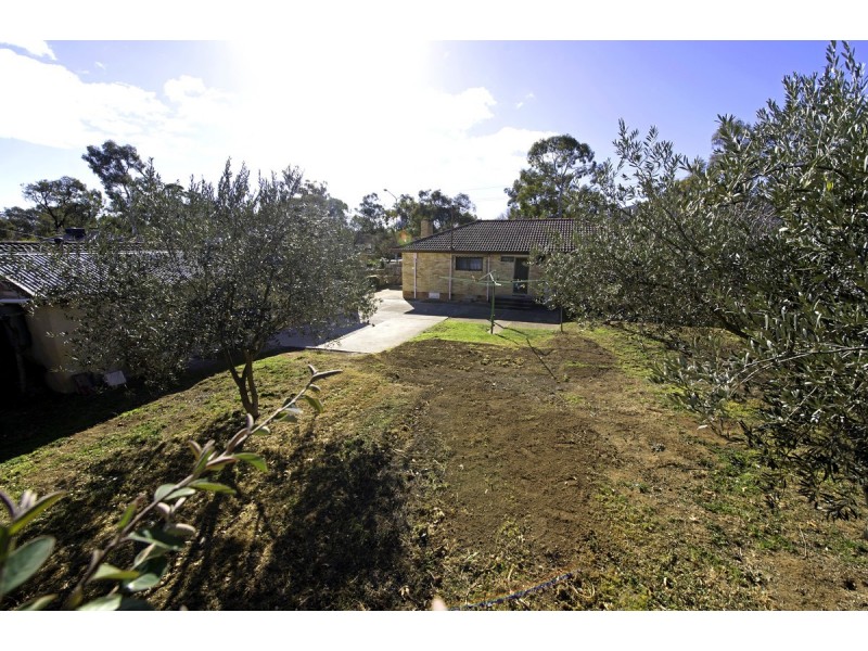 116 Phillip Avenue, Downer ACT 2602