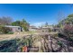 13 Bates Street, Dickson ACT 2602