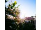 20A Bonney Street, Ainslie ACT 2602
