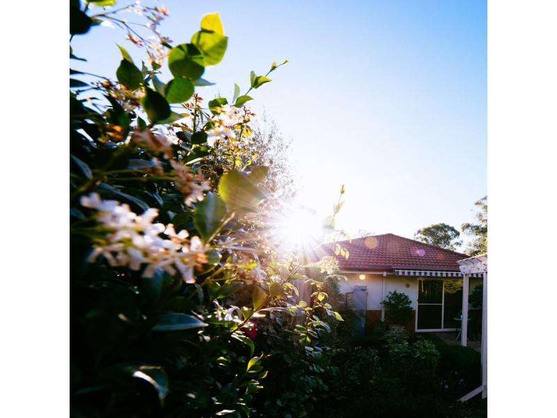 20A Bonney Street, Ainslie ACT 2602
