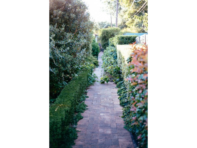 20A Bonney Street, Ainslie ACT 2602