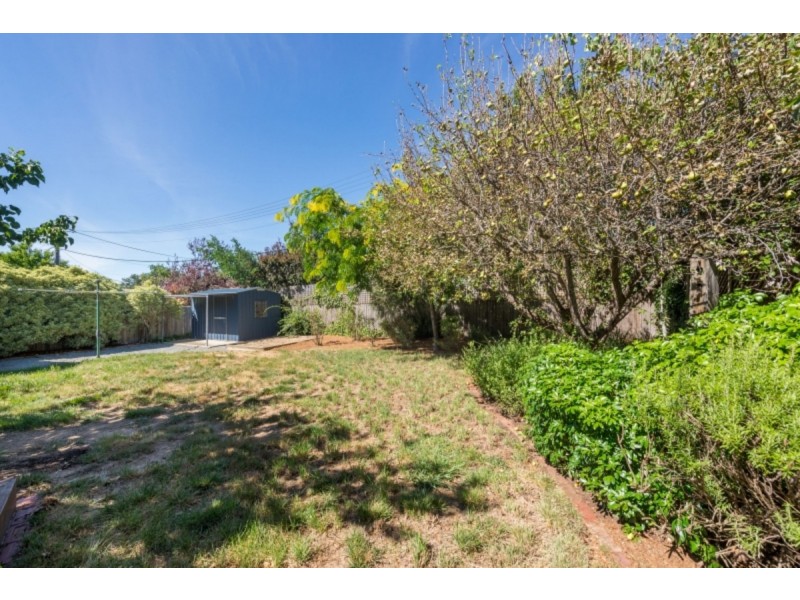 117 Wattle Street, O’connor ACT 2602