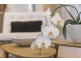 6 Mary Kitson Street, Watson ACT 2602