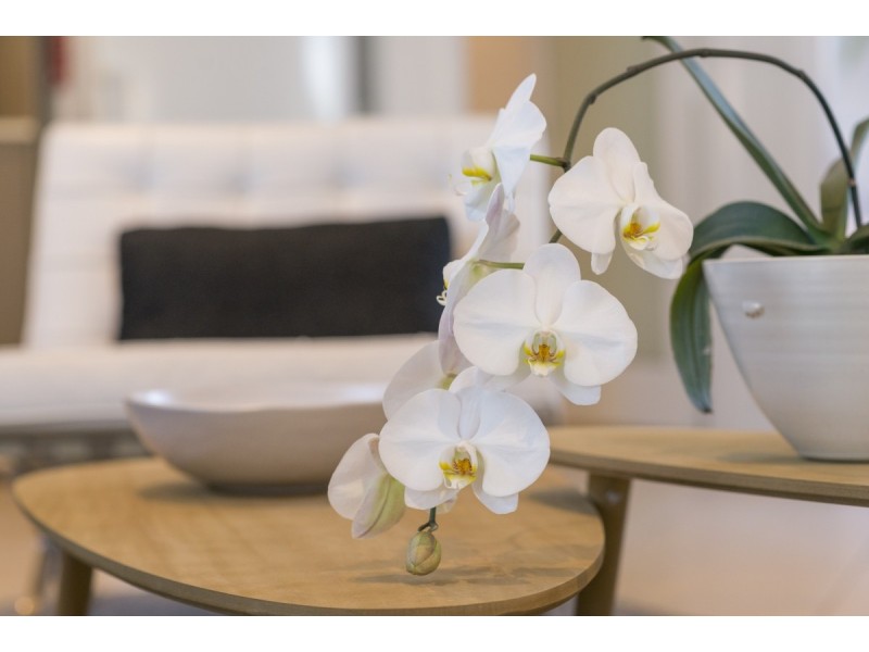 6 Mary Kitson Street, Watson ACT 2602
