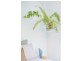 6 Mary Kitson Street, Watson ACT 2602