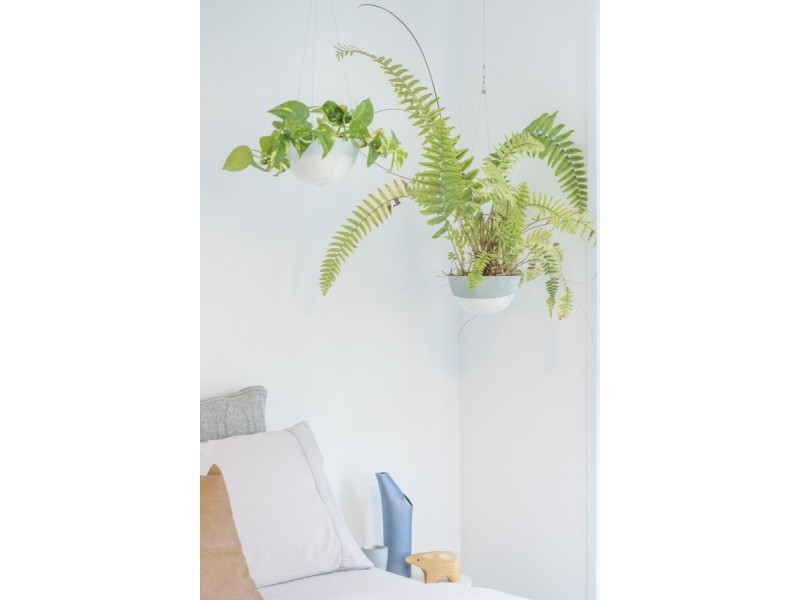 6 Mary Kitson Street, Watson ACT 2602
