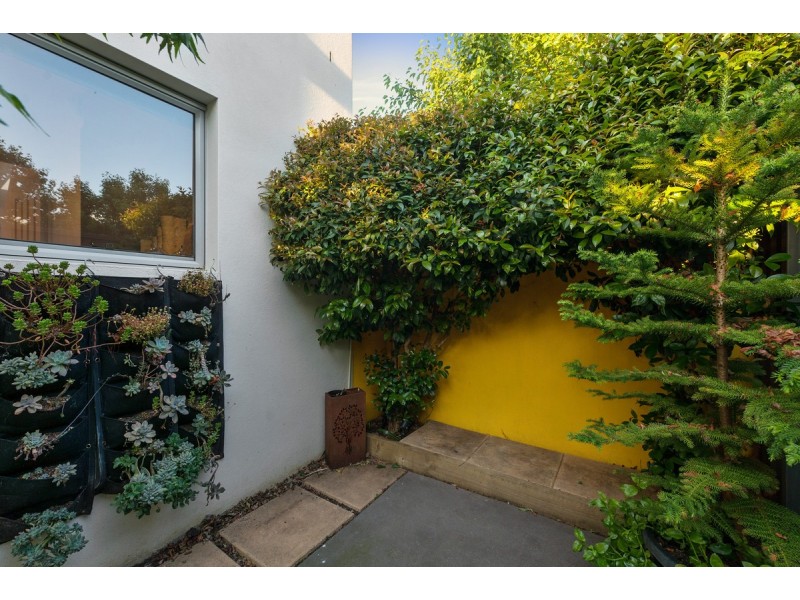 6 Mary Kitson Street, Watson ACT 2602