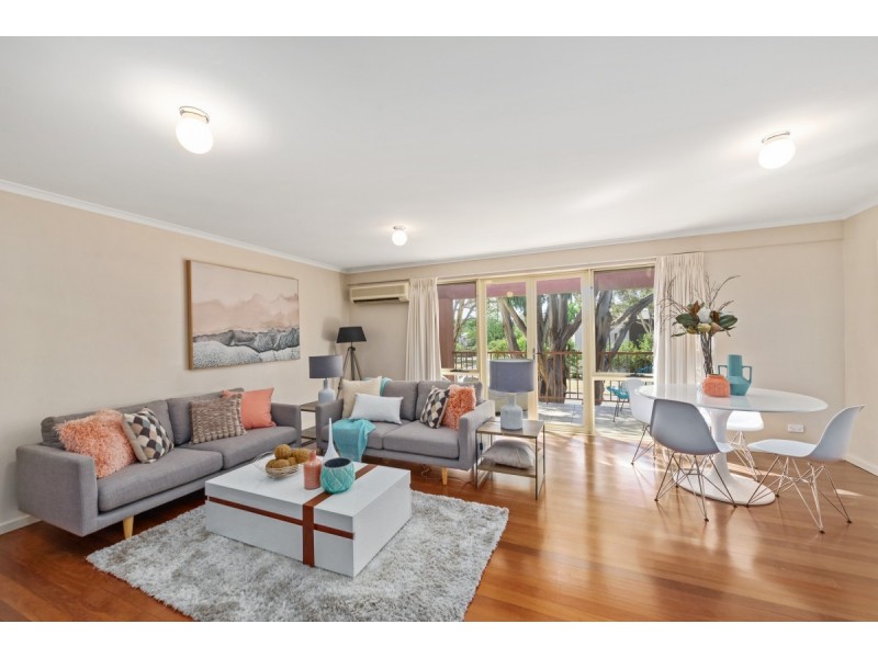 14/28 David Street, Turner ACT 2612