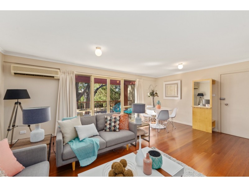 14/28 David Street, Turner ACT 2612