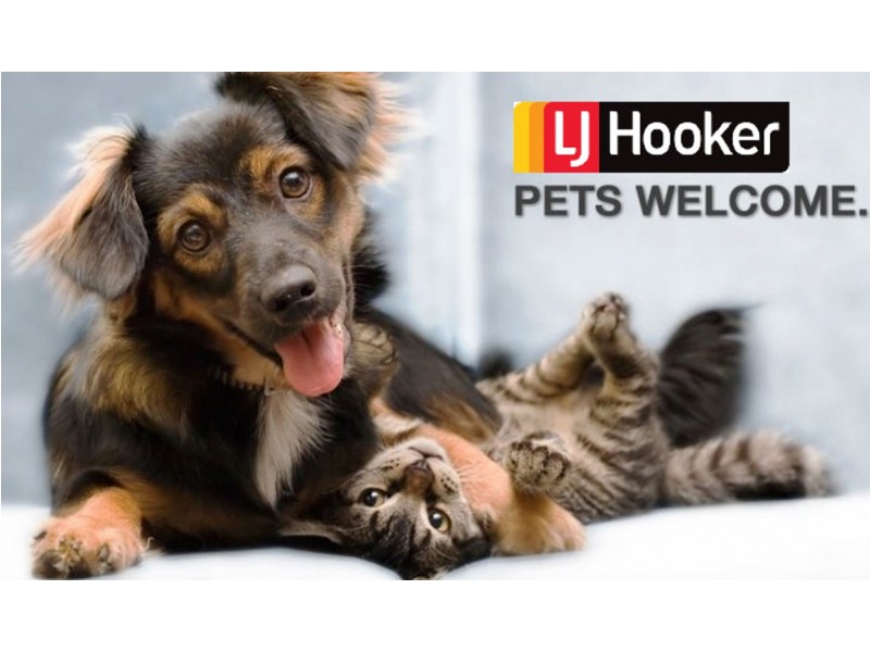 191 Duffy Street, Ainslie ACT 2602