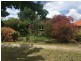 7 Hannan Crescent, Ainslie ACT 2602