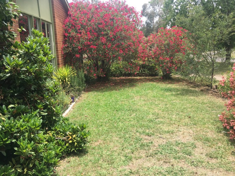 7 Hannan Crescent, Ainslie ACT 2602