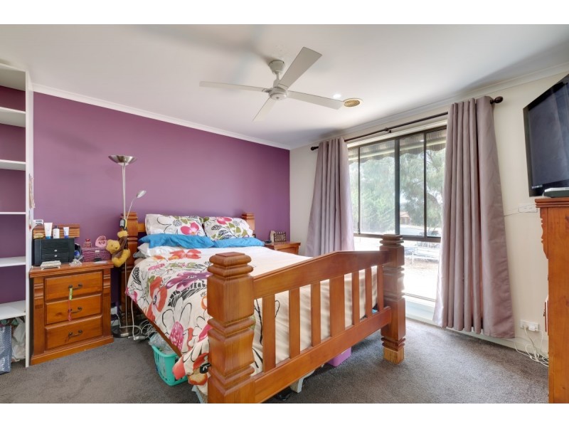 37 Deamer Crescent, Richardson ACT 2905
