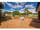 37 Deamer Crescent, Richardson ACT 2905