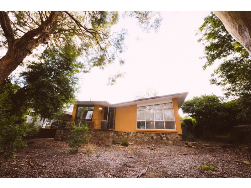 39 Cockle Street, O’connor ACT 2602